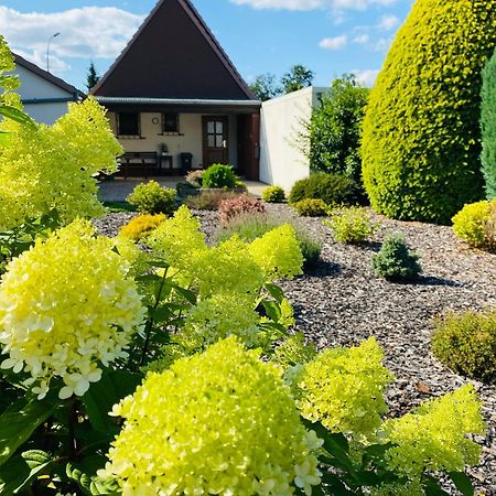 Ferienhaus Mit Charme Del デルメンホルスト エクステリア 写真